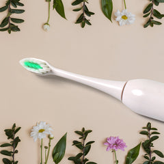 Electric Toothbrush